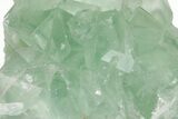 Green Cubic Fluorite Crystals with Phantoms - China #216277-2